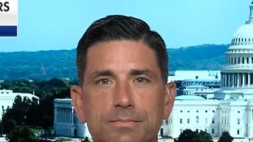 chad-wolf:-ice,-other-agencies-don’t-have-enough-people-doing-vetting