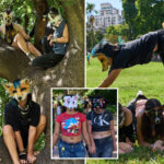 viral-trend-in-argentina-has-young-people-identifying-themselves-as-animals