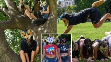 viral-trend-in-argentina-has-young-people-identifying-themselves-as-animals