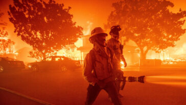 la.-firefighter:-fire-that-sparked-palisades-inferno-was-not-extinguished,-captain-ignored-warning