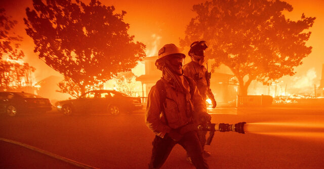 la.-firefighter:-fire-that-sparked-palisades-inferno-was-not-extinguished,-captain-ignored-warning