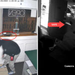 brazen-long-island-auto-theft-crew-busted-in-17-day,-multi-state-crime-blitz