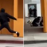 teens-arrested-in-oakland-for-violent-armed-robbery-on-ritzy-rodeo-drive