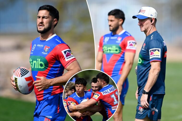 revamped-newcastle-knights-hopeful-their-nrl-turnaround-can-begin-in-earnest