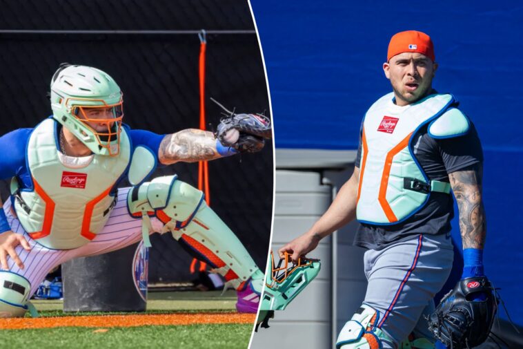 francisco-alvarez-has-two-big-mets-goals-for-2026-after-last-year’s-‘frustration’