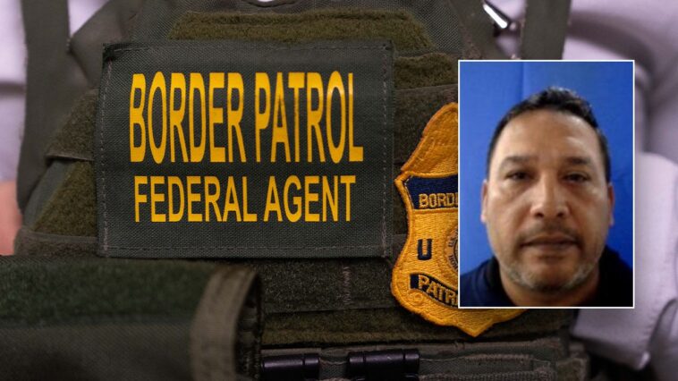 illegal-immigrant-arrested-after-showing-up-to-florida-border-patrol-office-for-contract-it-work