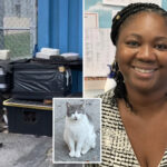 coney-island-principal-failed-to-protect-2-elderly-stray-cats-buried-repeatedly-in-snow-storms:-activists