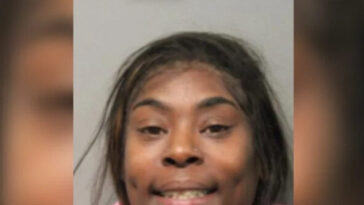 video:-woman-accused-of-murdering-uber-eats-driver-with-his-van-in-chicago-is-career-criminal