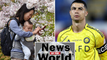 news-of-the-world:-what-you-missed-this-week-internationally