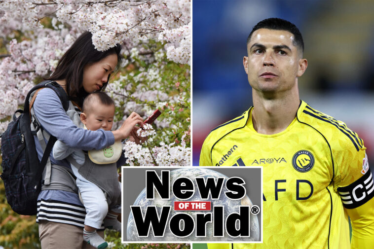 news-of-the-world:-what-you-missed-this-week-internationally