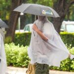 disneyland-guests-hit-by-falling-tree-during-wind-storm