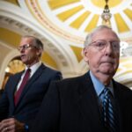 trump,-fellow-republicans-take-shots-at-mitch-mcconnell-over-save-act-stall