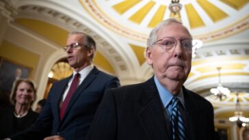 trump,-fellow-republicans-take-shots-at-mitch-mcconnell-over-save-act-stall