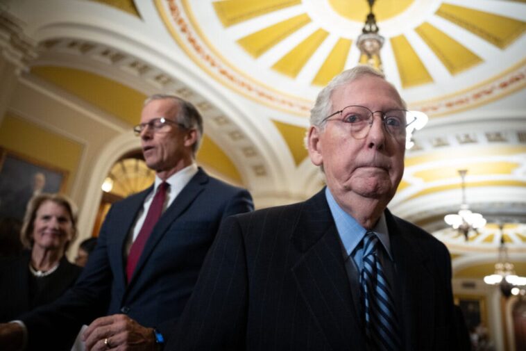 trump,-fellow-republicans-take-shots-at-mitch-mcconnell-over-save-act-stall