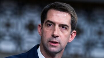 watch:-tom-cotton-explains-what-comes-next-following-khamenei-death