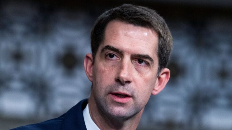 watch:-tom-cotton-explains-what-comes-next-following-khamenei-death