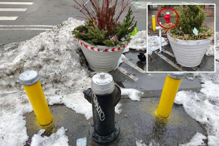 nyc’s-bizarre-solution-to-illegal-hydrant-parking-has-locals-fuming
