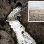 san-diego-finally-looks-to-stop-vile-cause-of-bacteria-that’s-shut-beaches-for-four-years