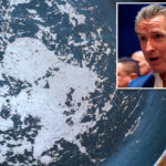 ny-pols-push-for-ban-on-nonstick-cookware-—-that-even-lefty-calif-gov.-gavin-newson-nixed