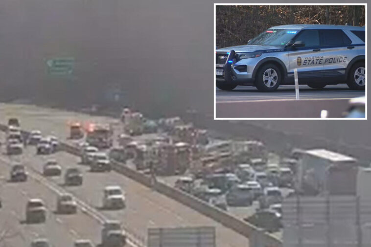 irate-motorist-stabs-3-—-killing-woman,-dog-—-after-va.-crash-before-trooper-shoots-him-dead