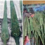 weapons-from-2000-bc-seized-during-layover-at-philadelphia-airport