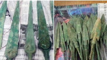 weapons-from-2000-bc-seized-during-layover-at-philadelphia-airport