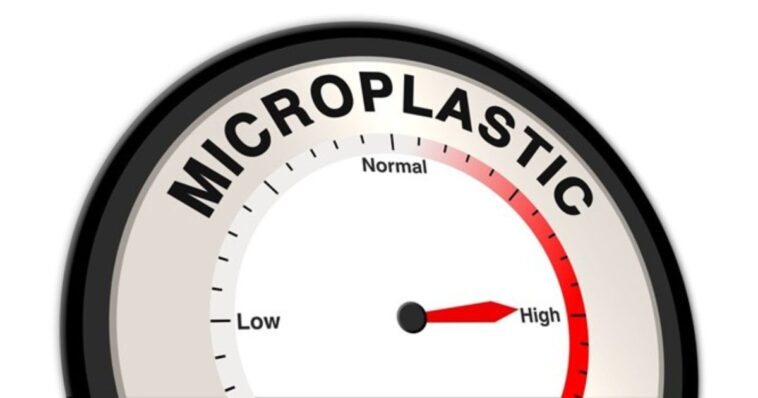 mccullough-foundation-on-the-dangers-of-microplastics-–-and-how-to-get-them-out-of-your-system