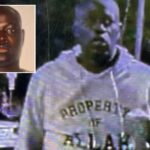 austin-mass-shooter-ndiaga-diagne-once-plowed-into-woman-in-nyc-while-driving-recklessly,-disabling-her-for-life:-lawsuit