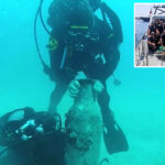 italian-police-stumble-upon-‘unexpected-discovery’-during-routine-patrol