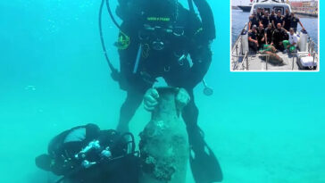 italian-police-stumble-upon-‘unexpected-discovery’-during-routine-patrol