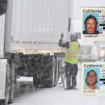 congress-turns-spotlight-on-deadly-crashes-involving-illegal-immigrant-truckers