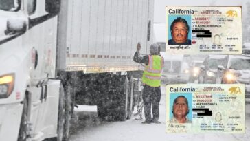 congress-turns-spotlight-on-deadly-crashes-involving-illegal-immigrant-truckers