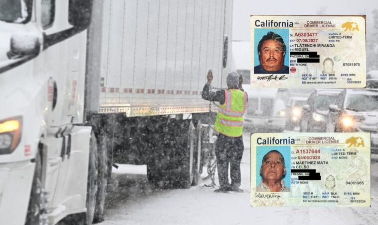 congress-turns-spotlight-on-deadly-crashes-involving-illegal-immigrant-truckers