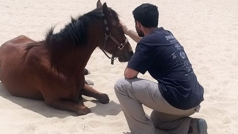 horses-help-heal-soldiers-amid-israel’s-mounting-ptsd-crisis-after-oct-7-attacks
