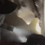 chilean-burglary-crew-filmed-themselves-during-$3m-socal-jewelry-heist,-caught-wearing-loot:-da