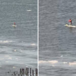 paddleboarder-wearing-backpack-cruises-along-the-icy-hudson-river-in-‘wild’-adventure