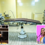 mt.-sinai-doc-offered-to-name-hospital’s-women’s-floor-after-jeffrey-epstein-in-return-for-donation:-report