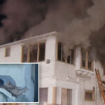 terrifying-moment-woman-jumps-from-2nd-floor-window-as-building-erupts-in-flames