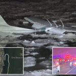 pilot,-passenger-who-crash-landed-in-‘another-miracle-on-the-hudson’-made-jokes-after-swimming-ashore