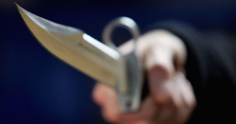 somali-man-with-knives-in-each-hand-reportedly-tried-to-invade-child-nursery,-was-repelled,-then-stabbed-two-people-before-fleeing-police