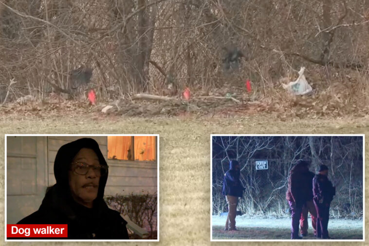 bodies-of-2-young-girls-found-stuffed-inside-suitcases-in-park-—-after-dog-walker-spots-severed-head