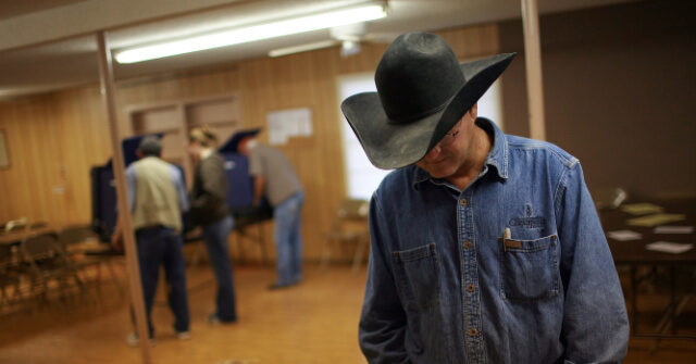 ***-election-night-livewire-***-lone-star-state-kicks-off-2026:-texans-vote-in-contentious-republican,-democrat-senate-primaries