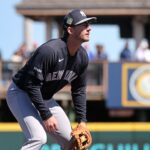 yankees-giving-ryan-mcmahon-the-chance-to-seize-backup-shortstop-role
