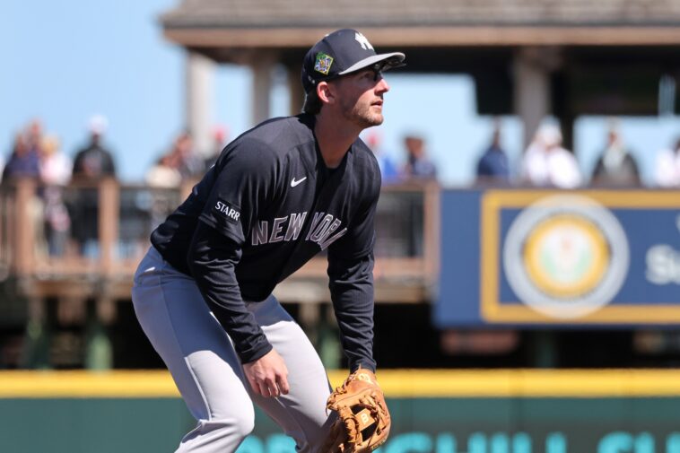 yankees-giving-ryan-mcmahon-the-chance-to-seize-backup-shortstop-role
