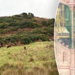 archaeologist-believes-he-found-legendary-viking-ruler’s-lost-grave-in-remote-spot:-‘this-is-rare’