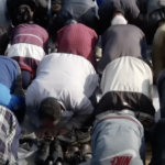 wayne-root:-it’s-not-“racist”-to-ask-these-questions-it’s-necessary.-how-many-muslims-in-america-are-on-our-side?-how-many-are-here-to-murder,-enslave-and-conquer-us?-what-is-obama’s-and-tucker’s-role-in-dividing-our-nation?