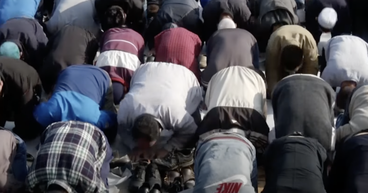 wayne-root:-it’s-not-“racist”-to-ask-these-questions-it’s-necessary.-how-many-muslims-in-america-are-on-our-side?-how-many-are-here-to-murder,-enslave-and-conquer-us?-what-is-obama’s-and-tucker’s-role-in-dividing-our-nation?