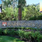 star-water-polo-player-breaks-silence-after-bombshell-claims-of-underwater-sex-attack-by-teammate