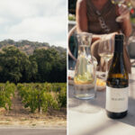 fresh-crisis-for-napa-valley:-rogue-winemaker-faces-bankruptcy-after-being-fined-$4m-for-secret-rule-breaking