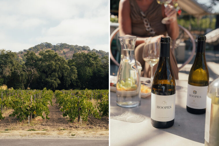 fresh-crisis-for-napa-valley:-rogue-winemaker-faces-bankruptcy-after-being-fined-$4m-for-secret-rule-breaking